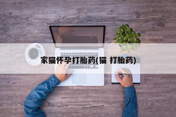 打胎药正品专卖微信家猫怀孕打胎药(猫 打胎药)